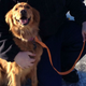 Illustration for article titled This Hero Dog Saved a Mans Life After His Snowmobile Crashed